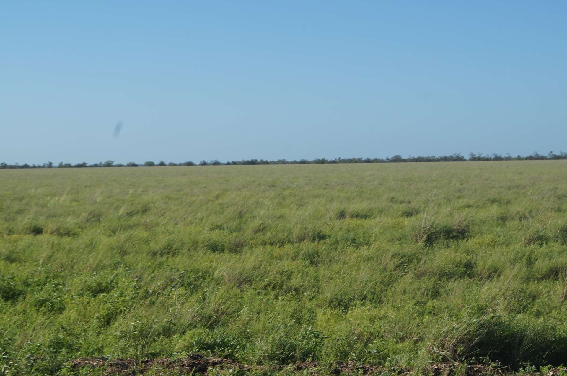 1 Baratria Road, Longreach For Sale by Farmbuy.com - image 10