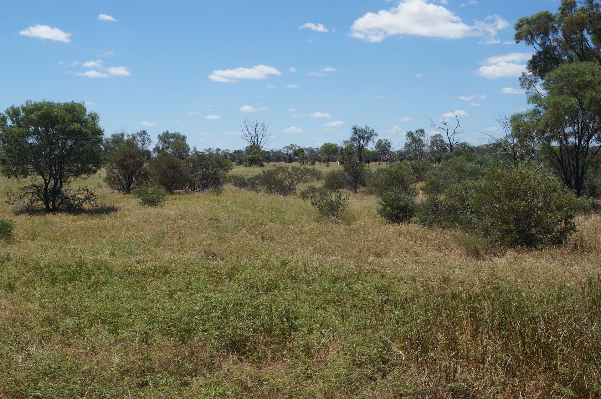 1 Baratria Road, Longreach For Sale by Farmbuy.com - image 15