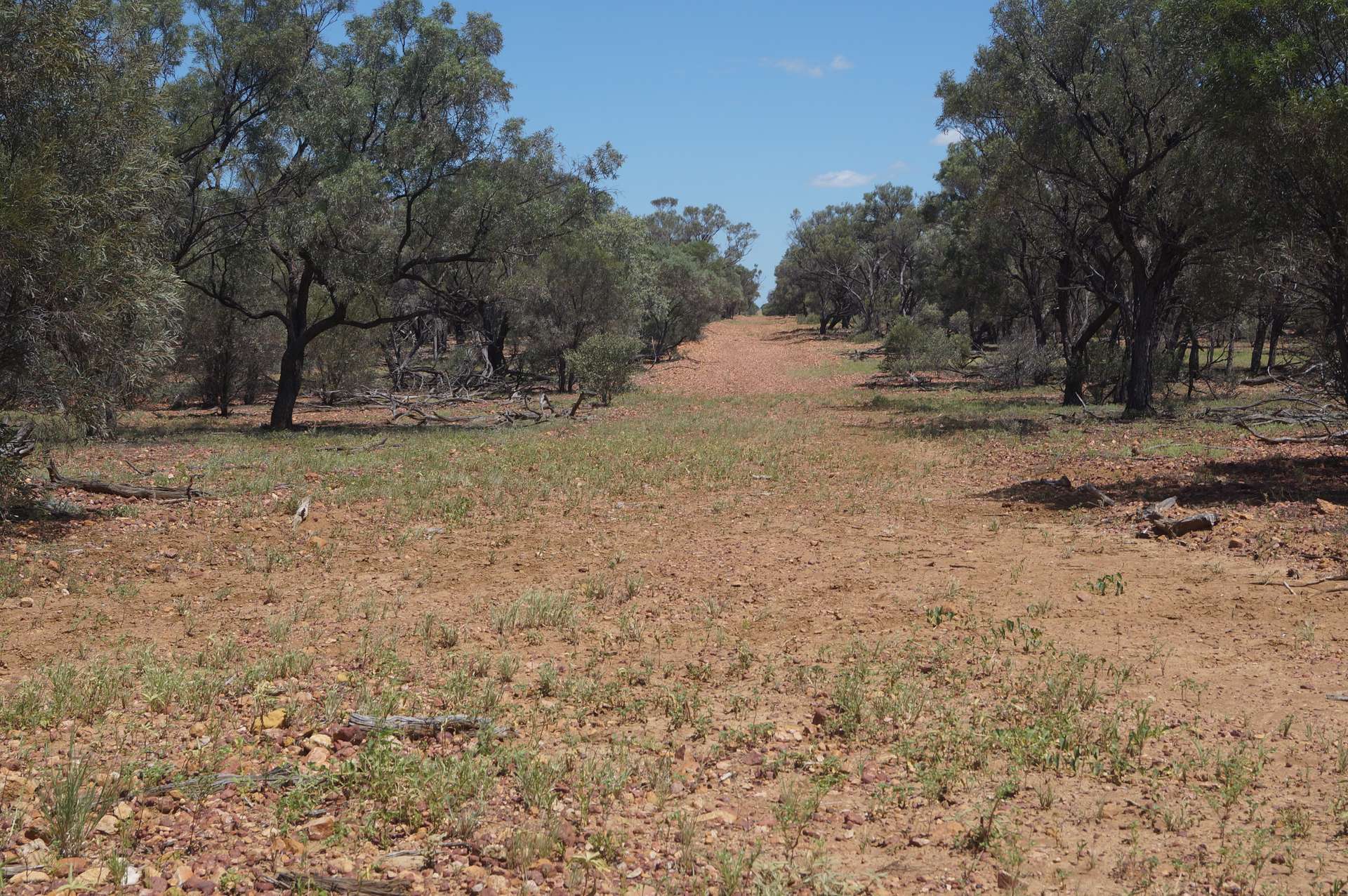1 Baratria Road, Longreach For Sale by Farmbuy.com - image 18