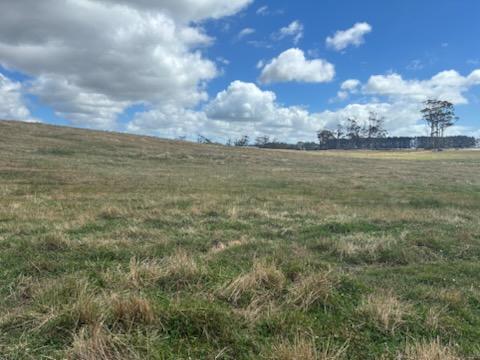 PID 6250932 Montagu Road, Scopus For Sale by Farmbuy.com - image 2