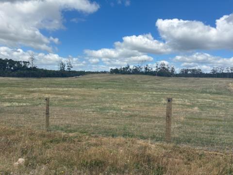 PID 6250932 Montagu Road, Scopus For Sale by Farmbuy.com - image 4