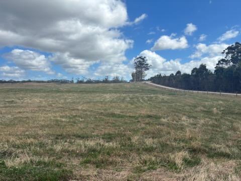 PID 6250932 Montagu Road, Scopus For Sale by Farmbuy.com - image 5