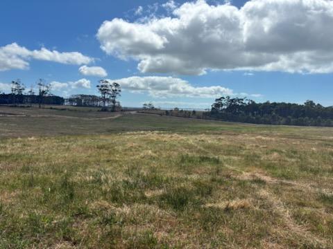 PID 6250932 Montagu Road, Scopus For Sale by Farmbuy.com - image 6