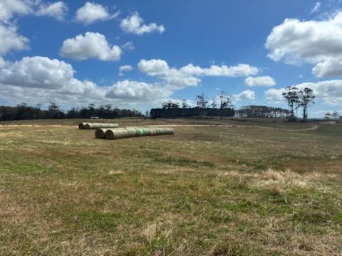 PID 6250932 Montagu Road, Scopus For Sale by Farmbuy.com - image 7