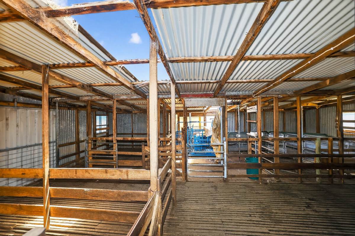 3606 Hopkins Highway, Ellerslie For Sale by Farmbuy.com - image 24