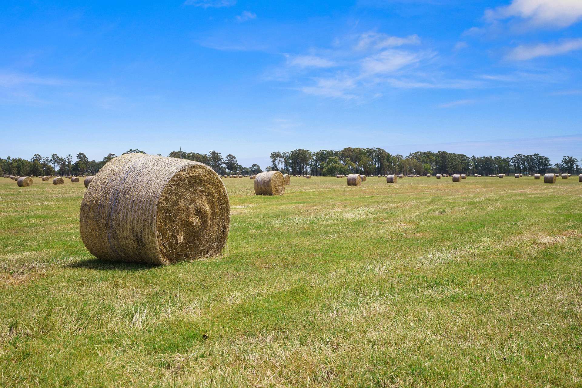 4756 South Western Highway, North Dandalup For Sale by Farmbuy.com - image 14