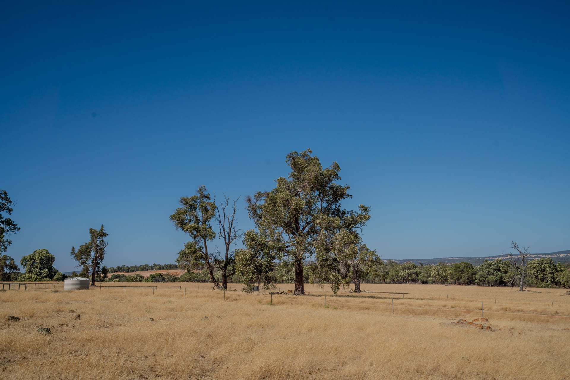 Toodyay For Sale by Farmbuy.com - image 2