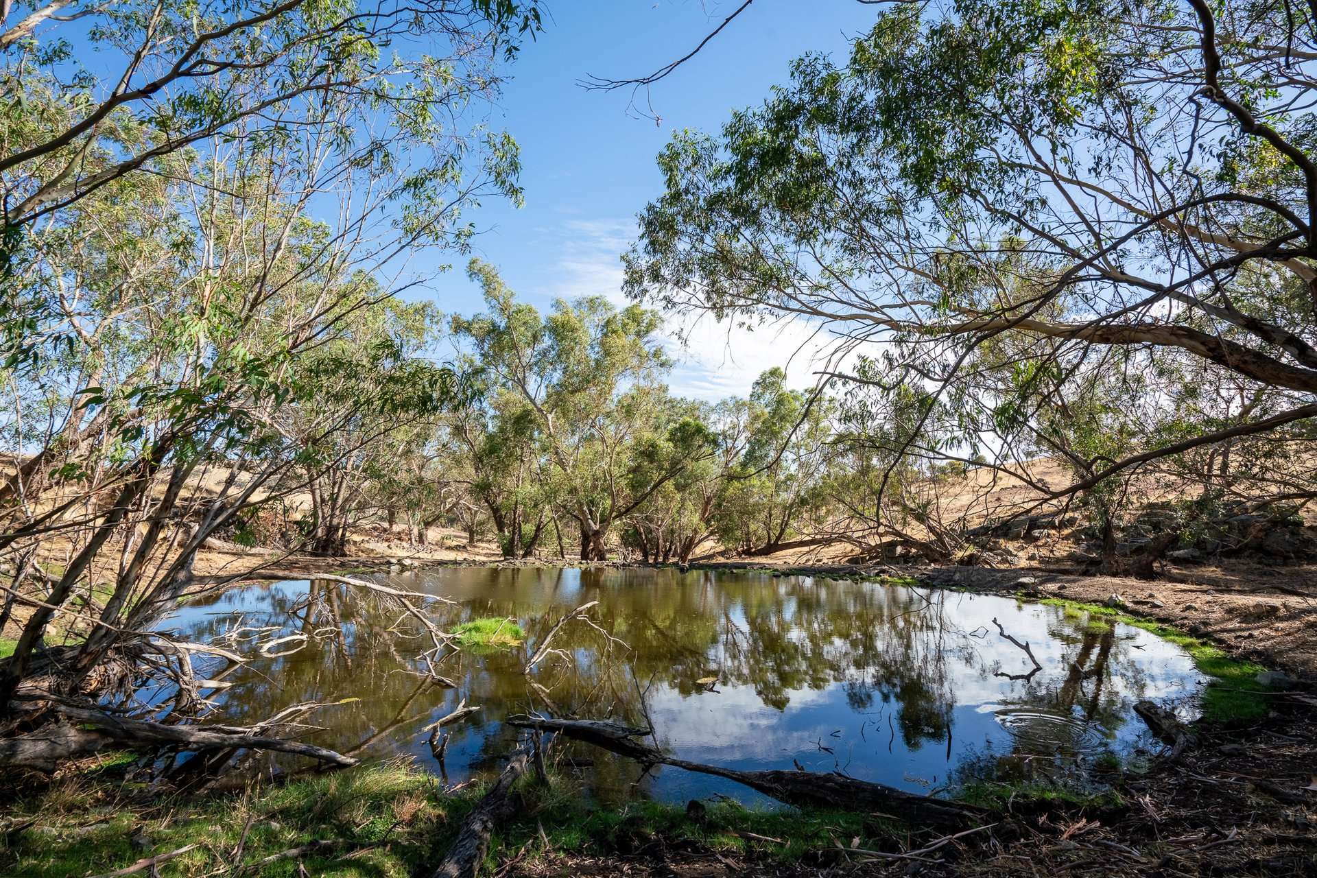 Toodyay Sold by Farmbuy.com - image 6