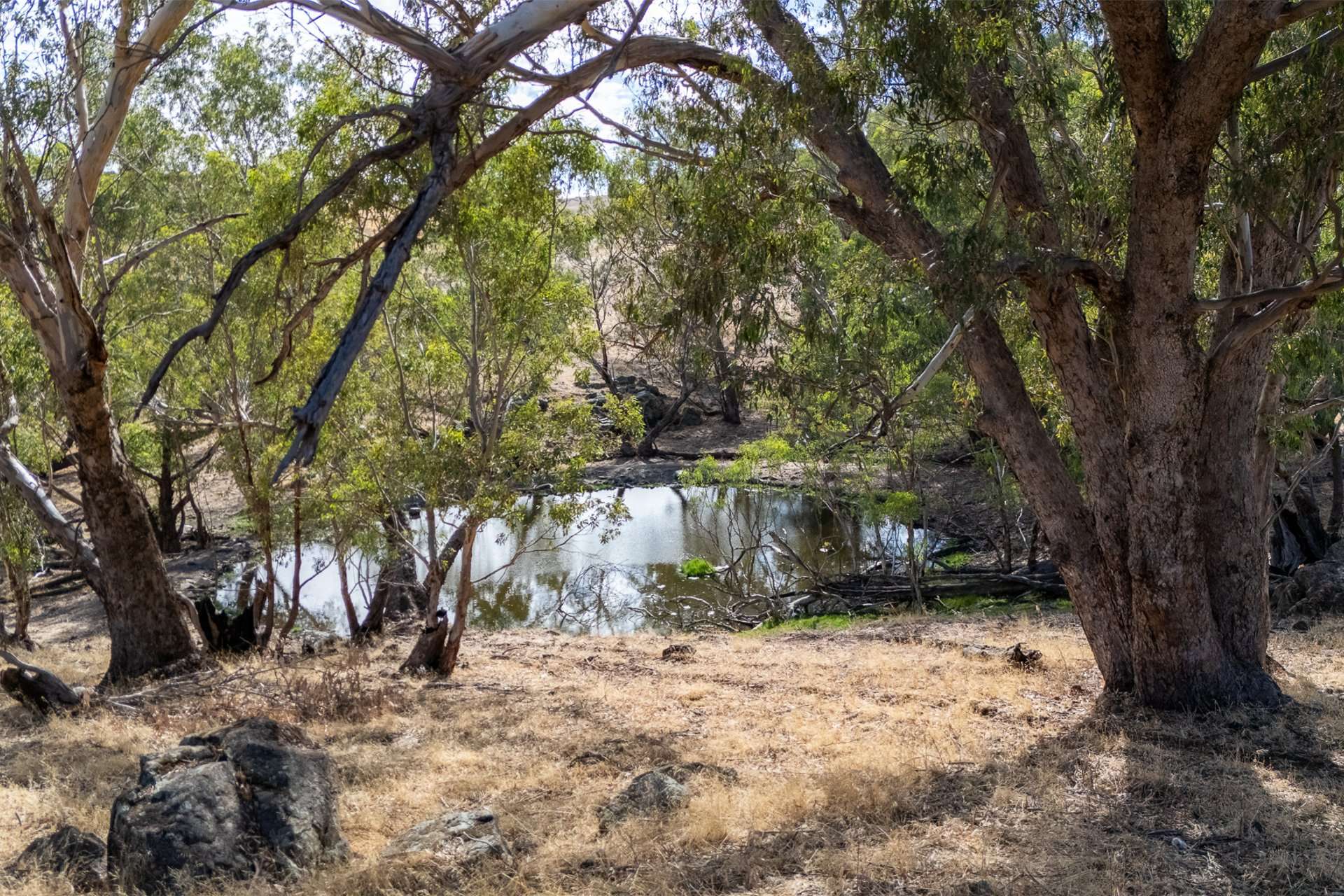Toodyay Sold by Farmbuy.com - image 12