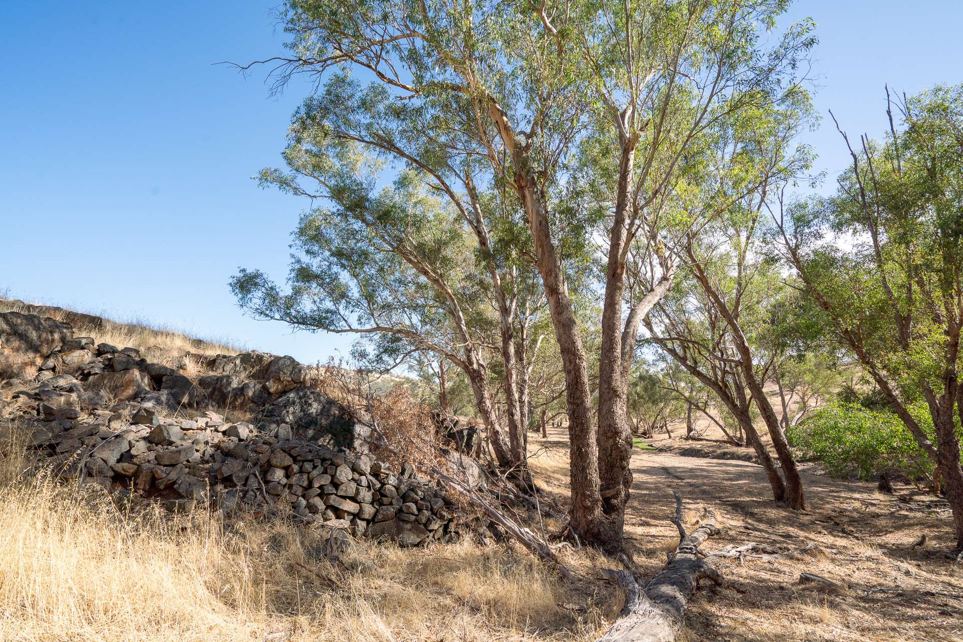 Toodyay For Sale by Farmbuy.com - image 9