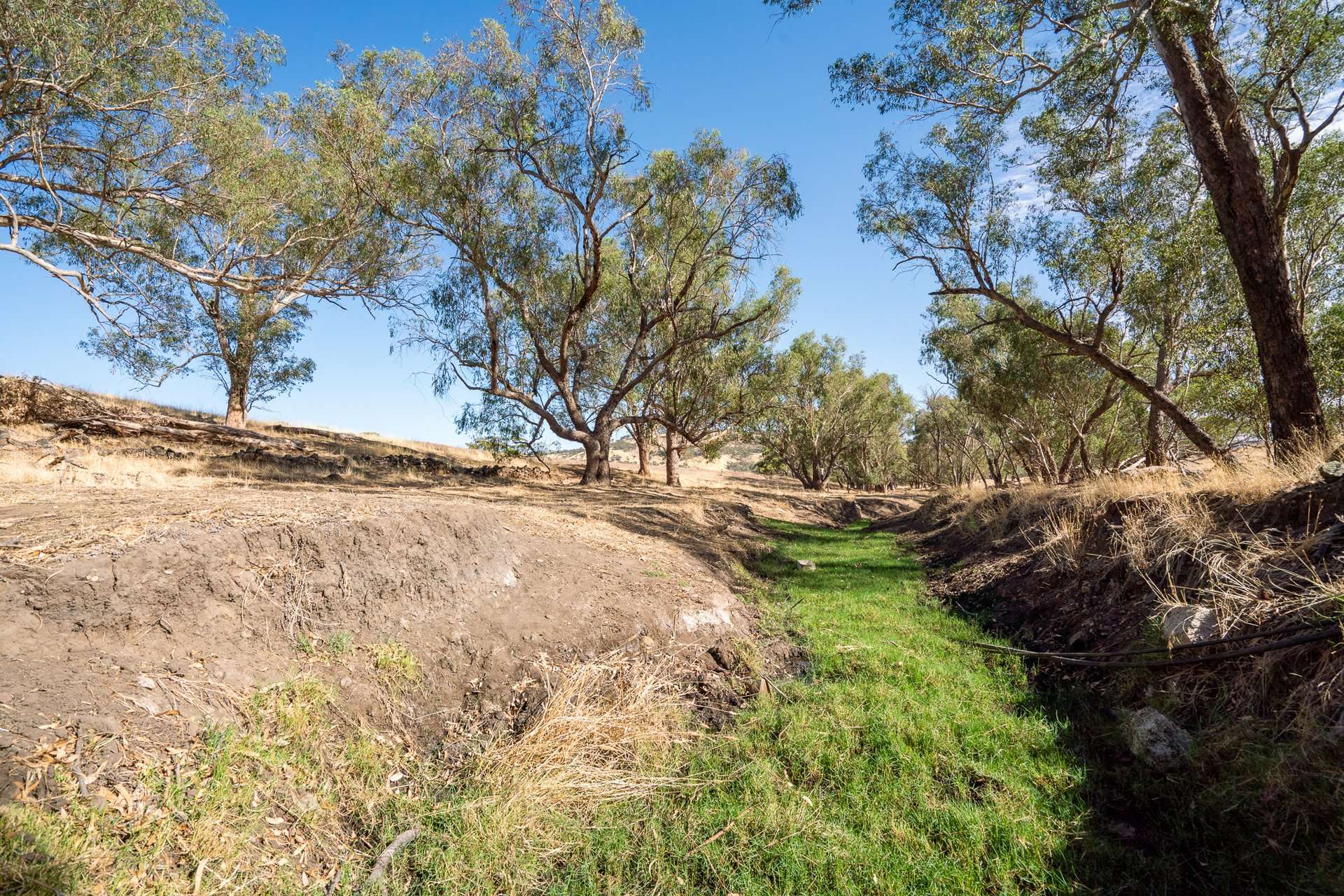 Toodyay Sold by Farmbuy.com - image 8