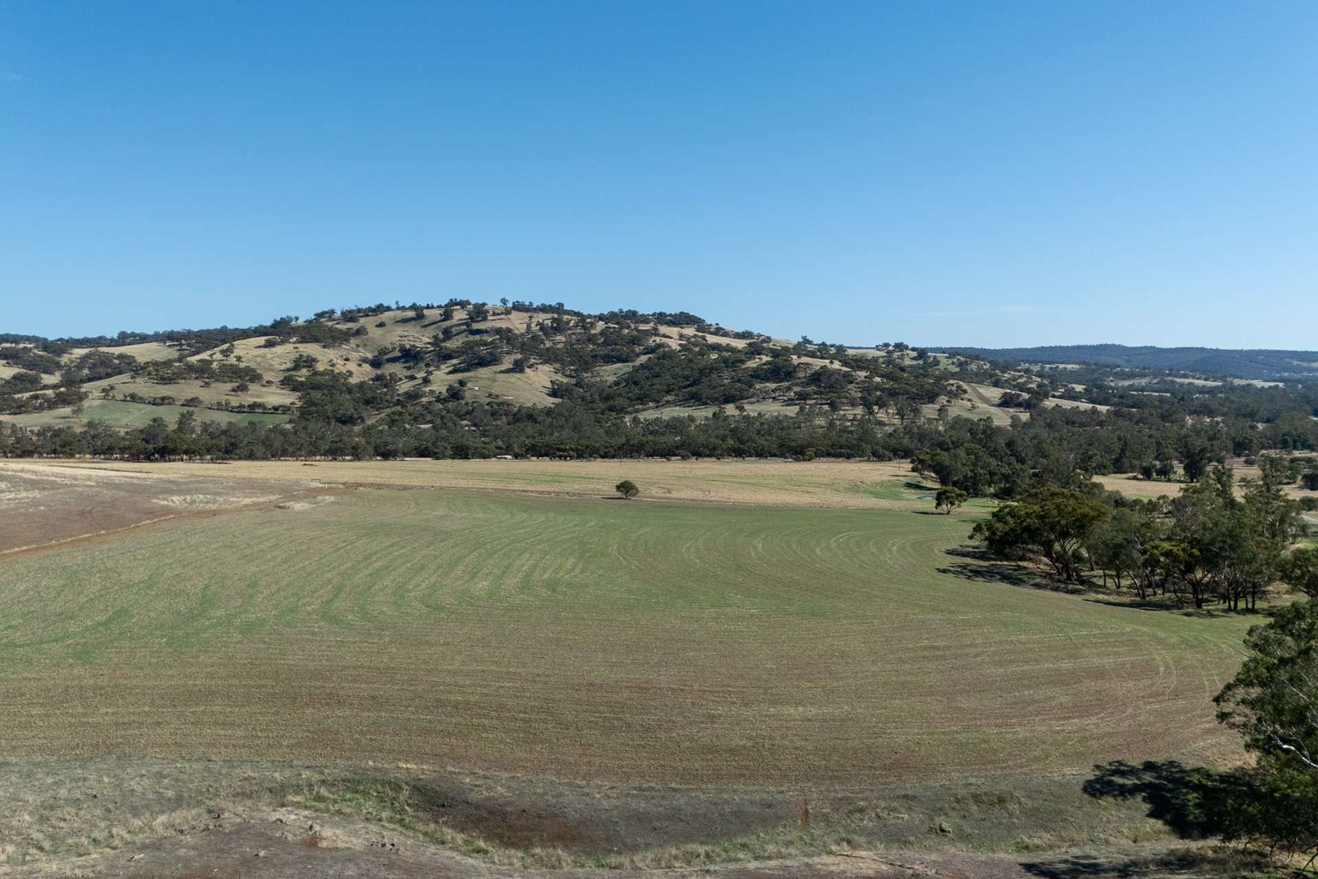 Toodyay Sold by Farmbuy.com - image 3