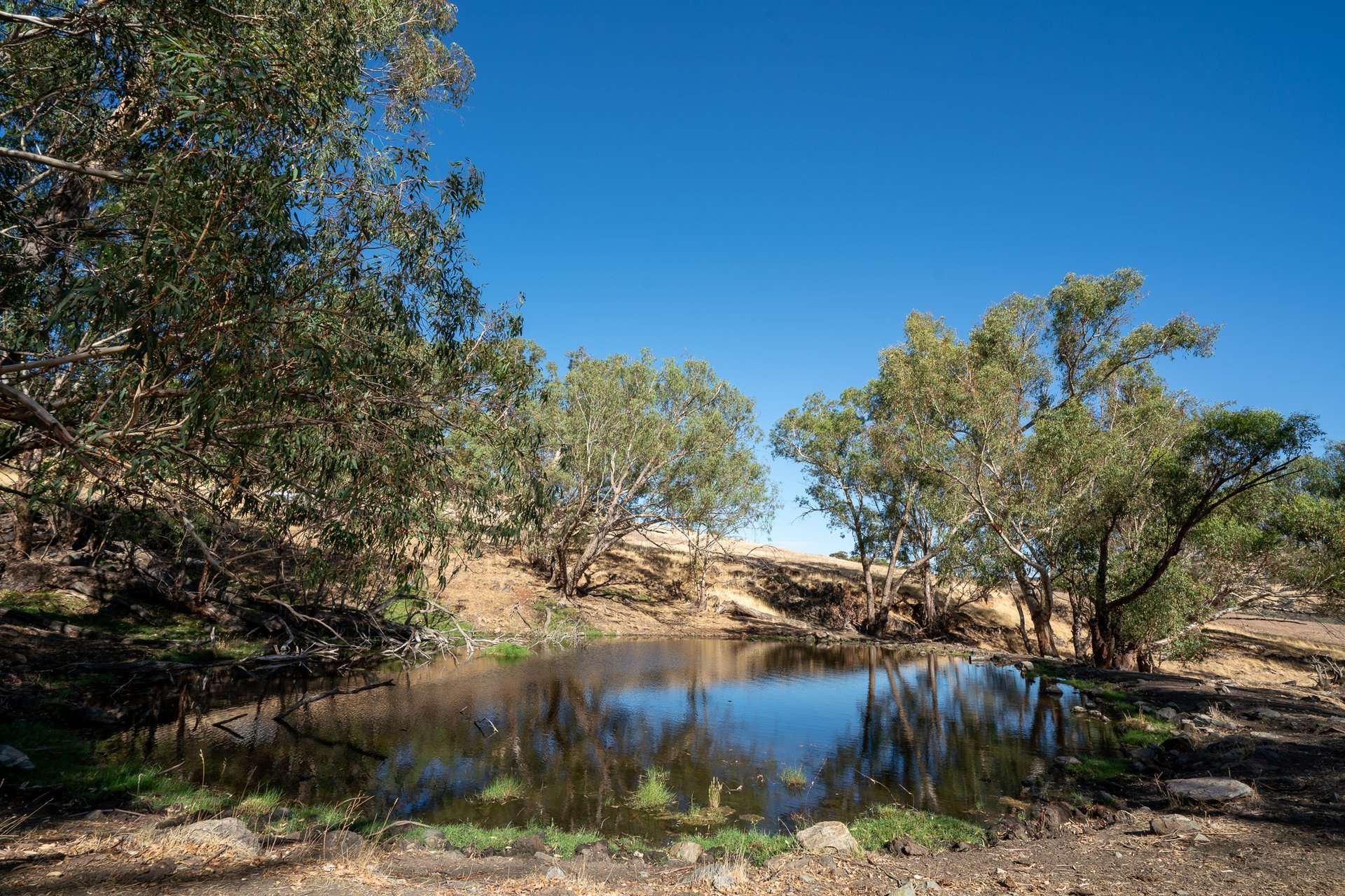 Toodyay Sold by Farmbuy.com - image 4