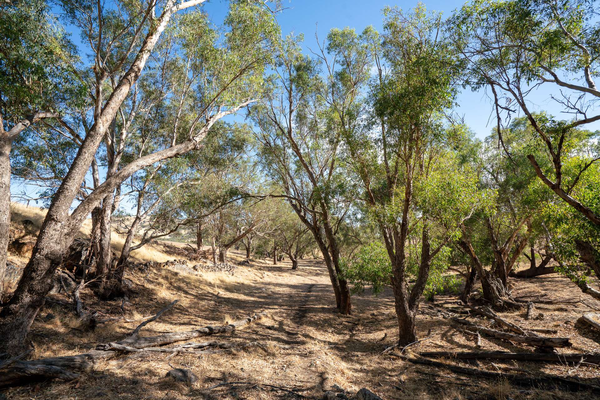 Toodyay Sold by Farmbuy.com - image 10