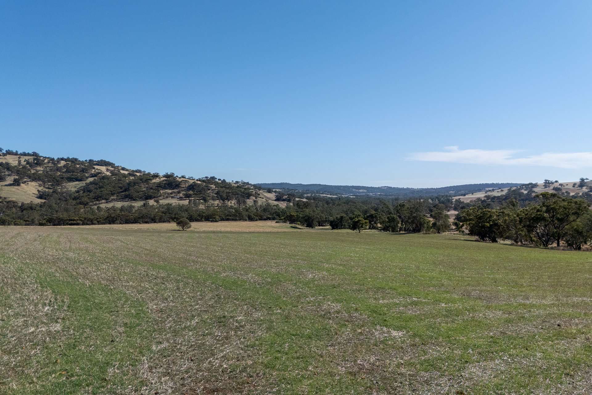 Toodyay Sold by Farmbuy.com - image 7