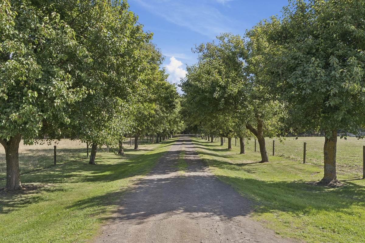 1600 Williams Road, Simpson Sold by Farmbuy.com - image 2