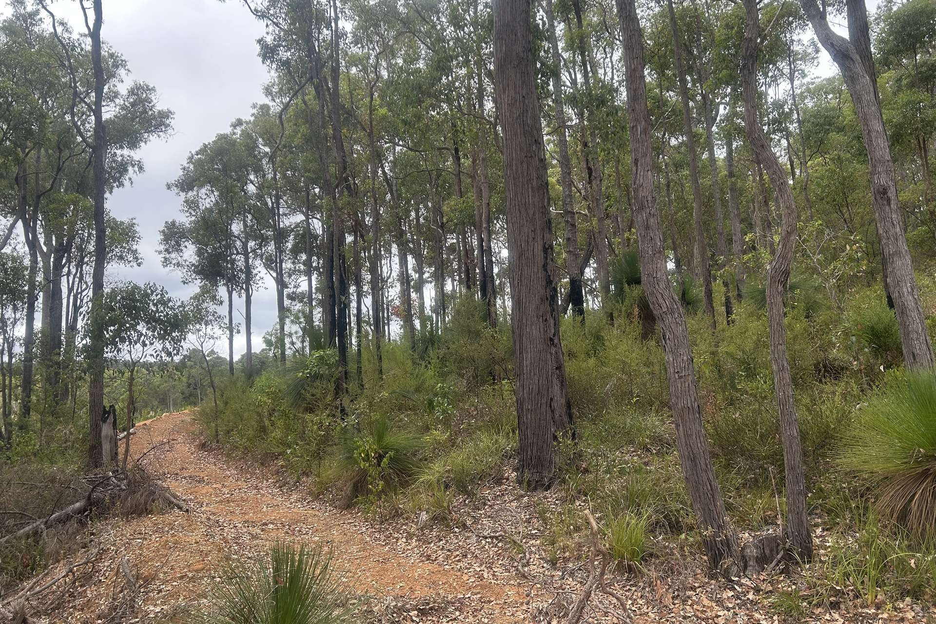 Lot 100 Brockman Highway, East Nannup For Sale by Farmbuy.com - image 8