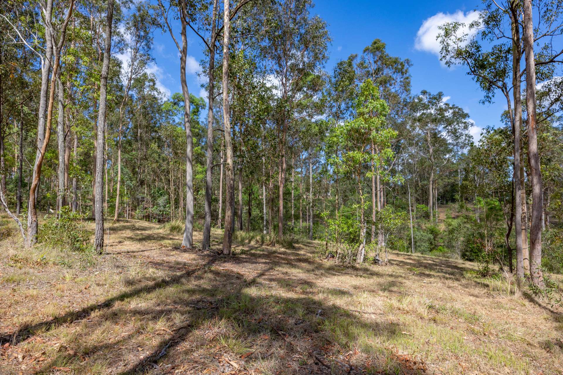 125 Tamaree Road, Tamaree Sold by Farmbuy.com - image 2