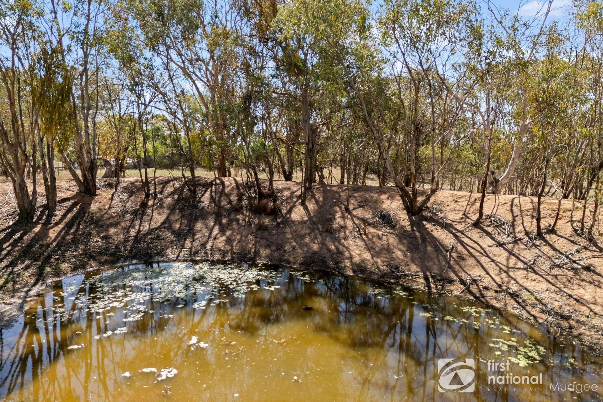 77 Frog Rock Road, Mudgee For Sale by Farmbuy.com - image 14