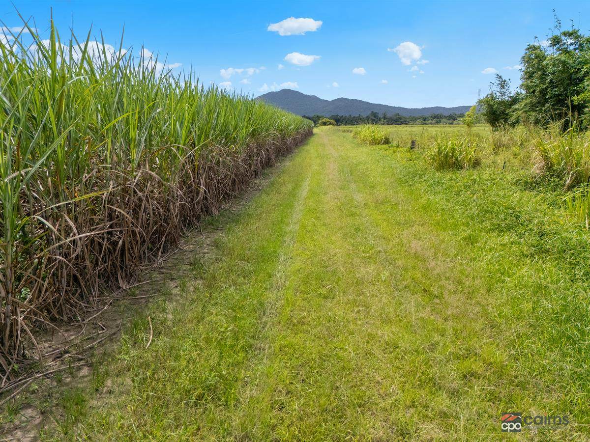 101 Bruce Highway, Bellenden Ker For Sale by Farmbuy.com - image 15