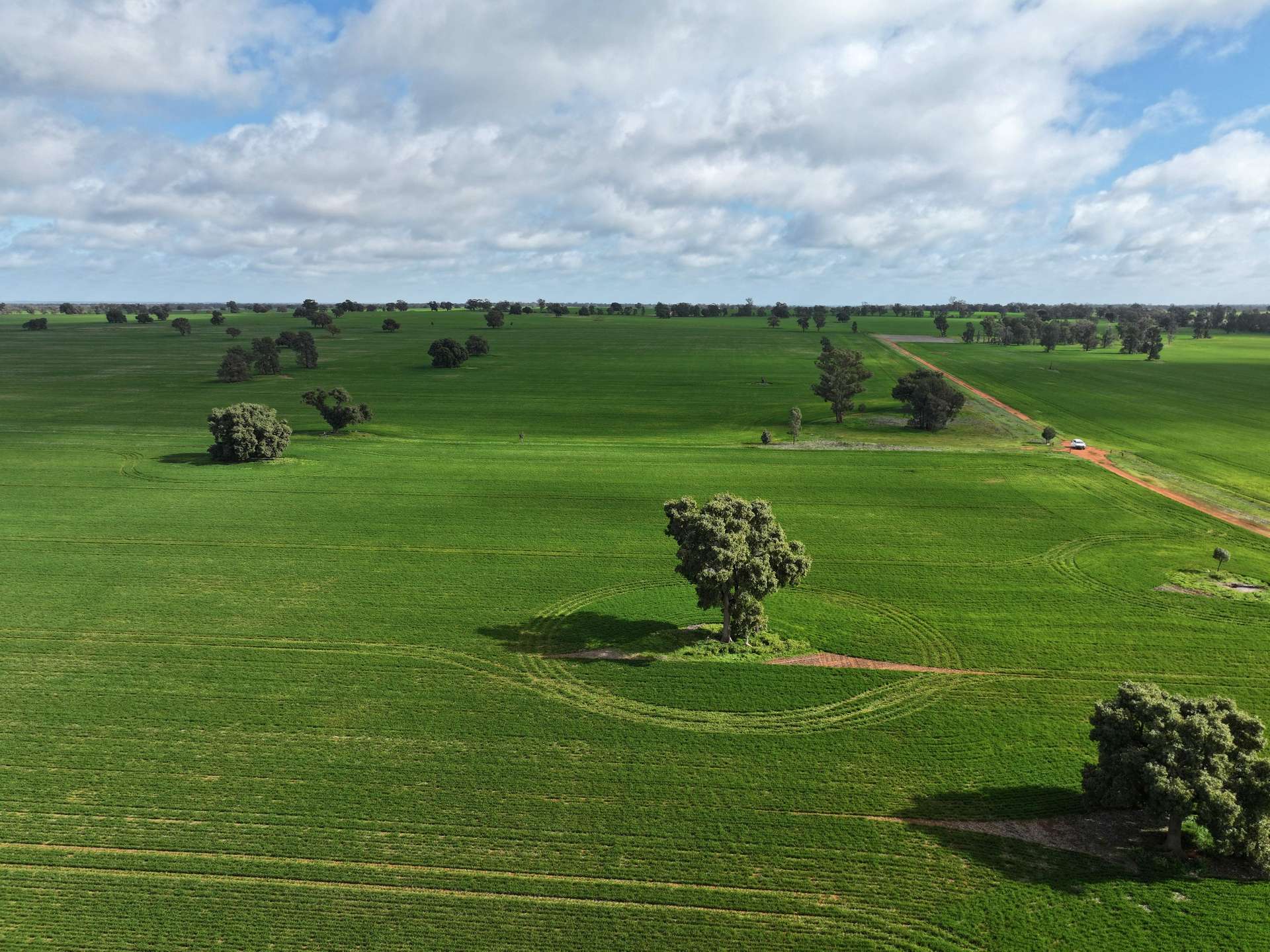 Shannonvale & Elmore Strontian Road, Boree Creek For Sale by Farmbuy.com - image 18