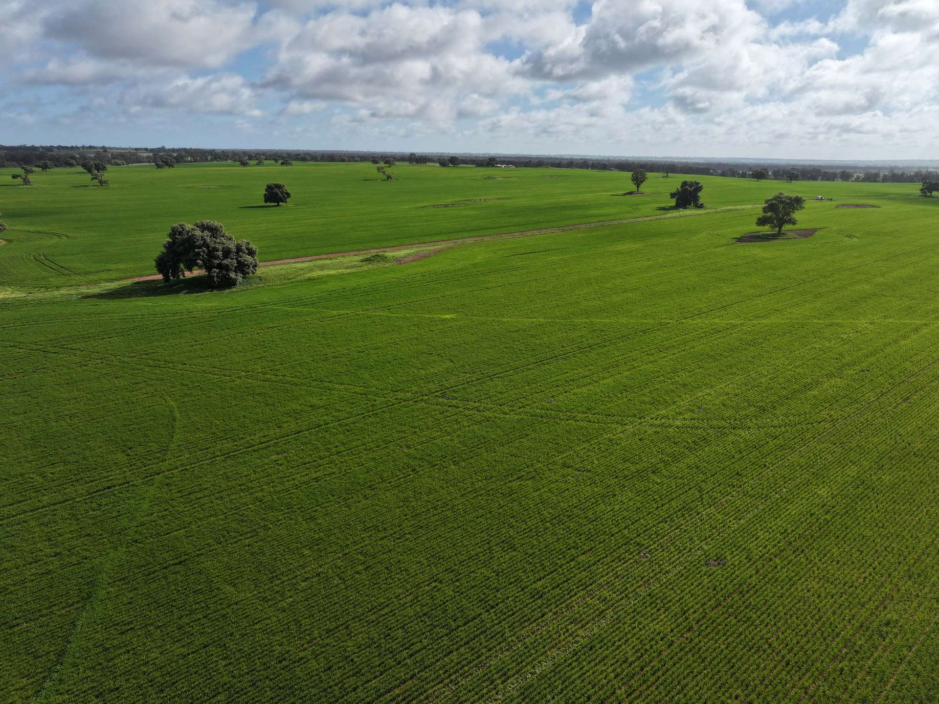 Shannonvale & Elmore Strontian Road, Boree Creek For Sale by Farmbuy.com - image 10