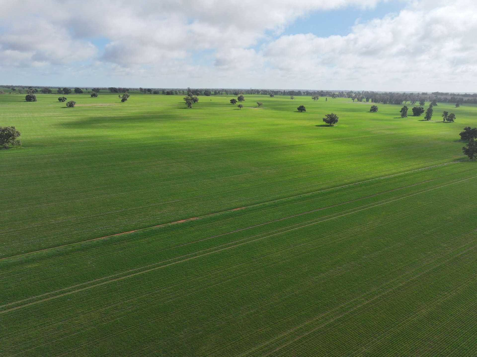 Shannonvale & Elmore Strontian Road, Boree Creek For Sale by Farmbuy.com - image 12