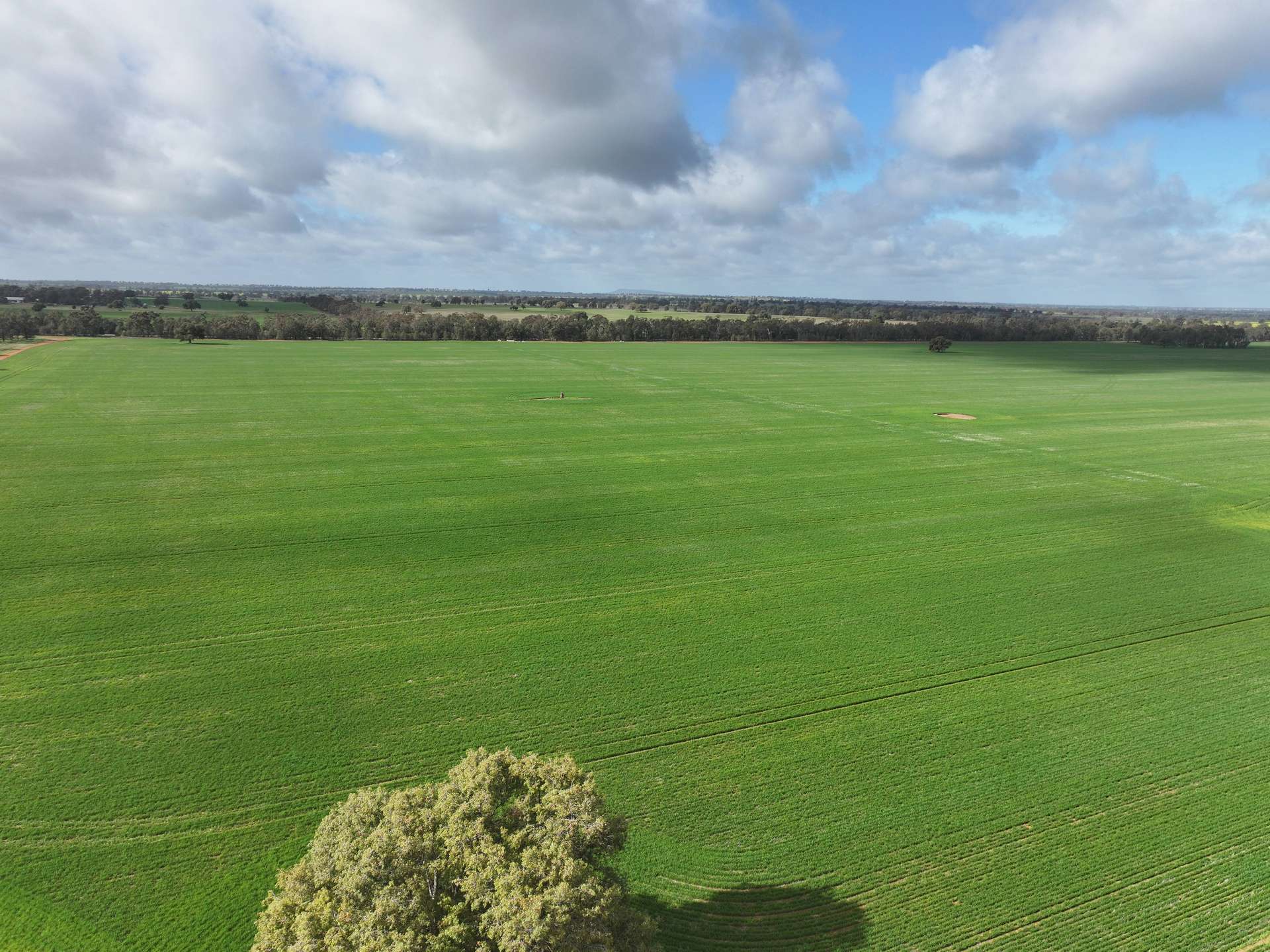 Shannonvale & Elmore Strontian Road, Boree Creek For Sale by Farmbuy.com - image 17