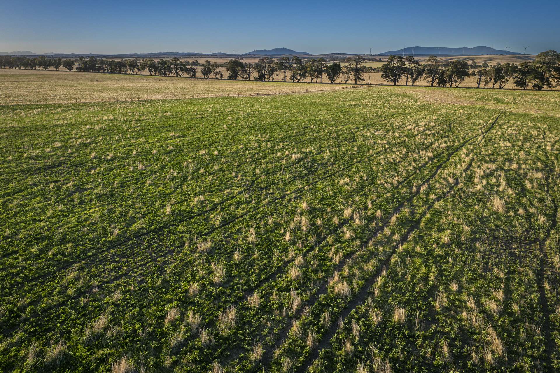 1154 Stockyard Hill Road, Stockyard Hill For Sale by Farmbuy.com - image 5