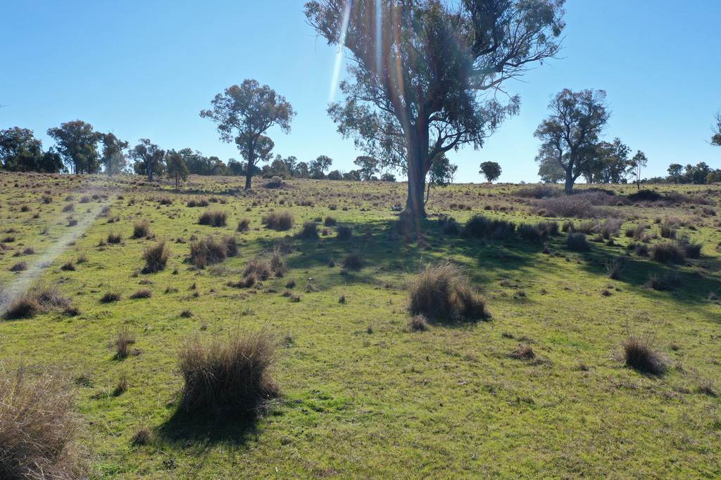 631 Glenelg Road, Bundarra NSW 2359