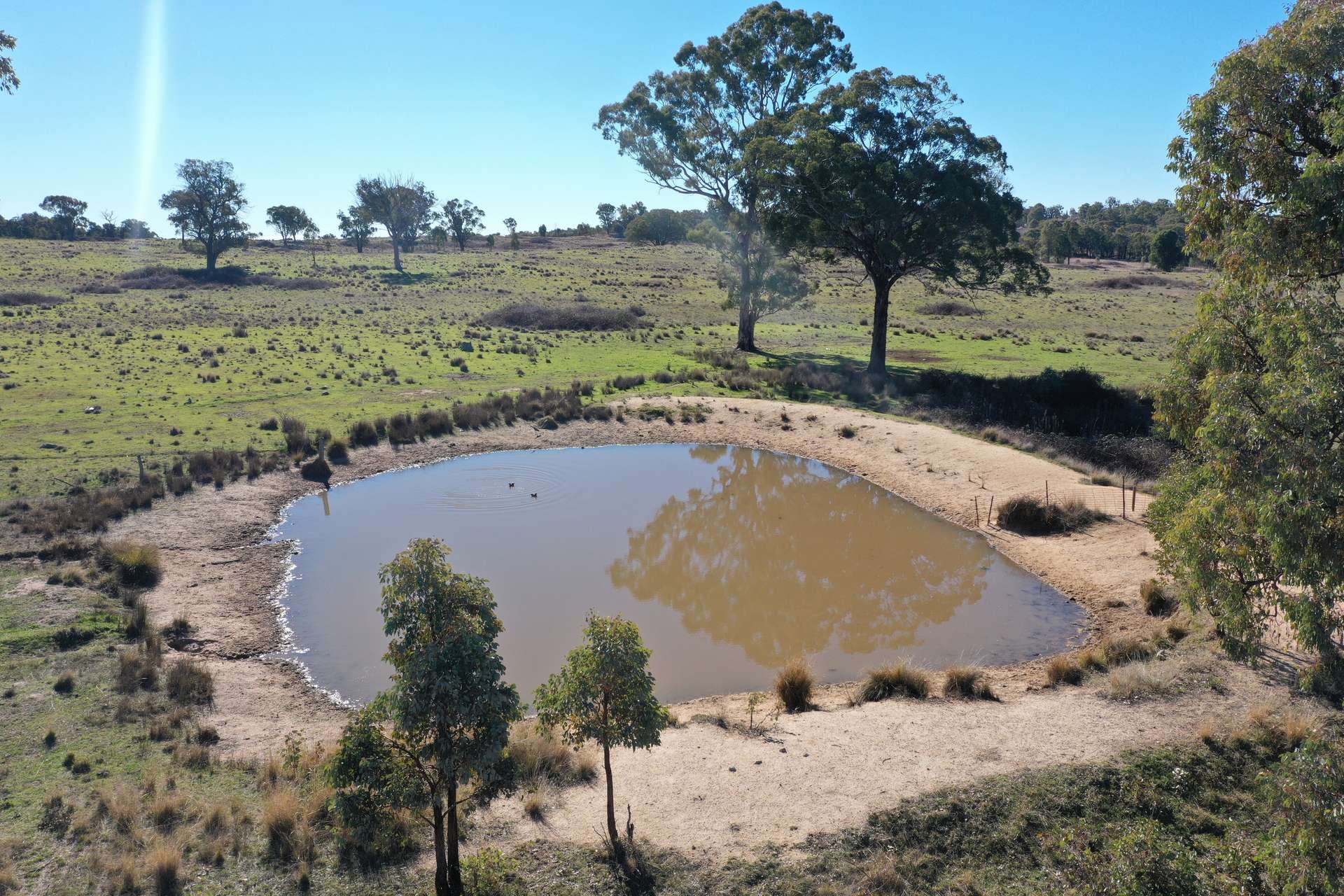 631 Glenelg Road, Bundarra For Sale by Farmbuy.com - image 2