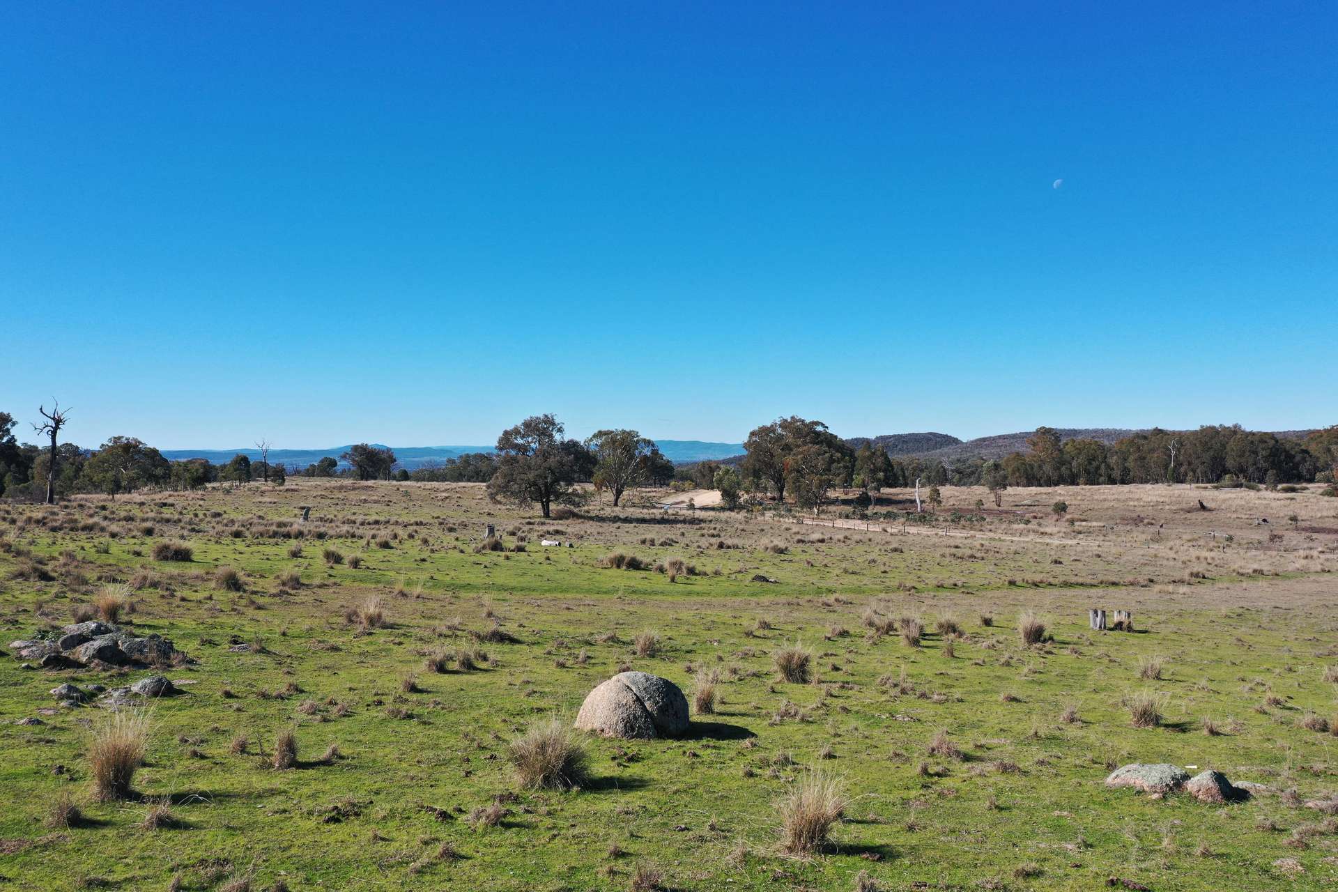 631 Glenelg Road, Bundarra For Sale by Farmbuy.com - image 5