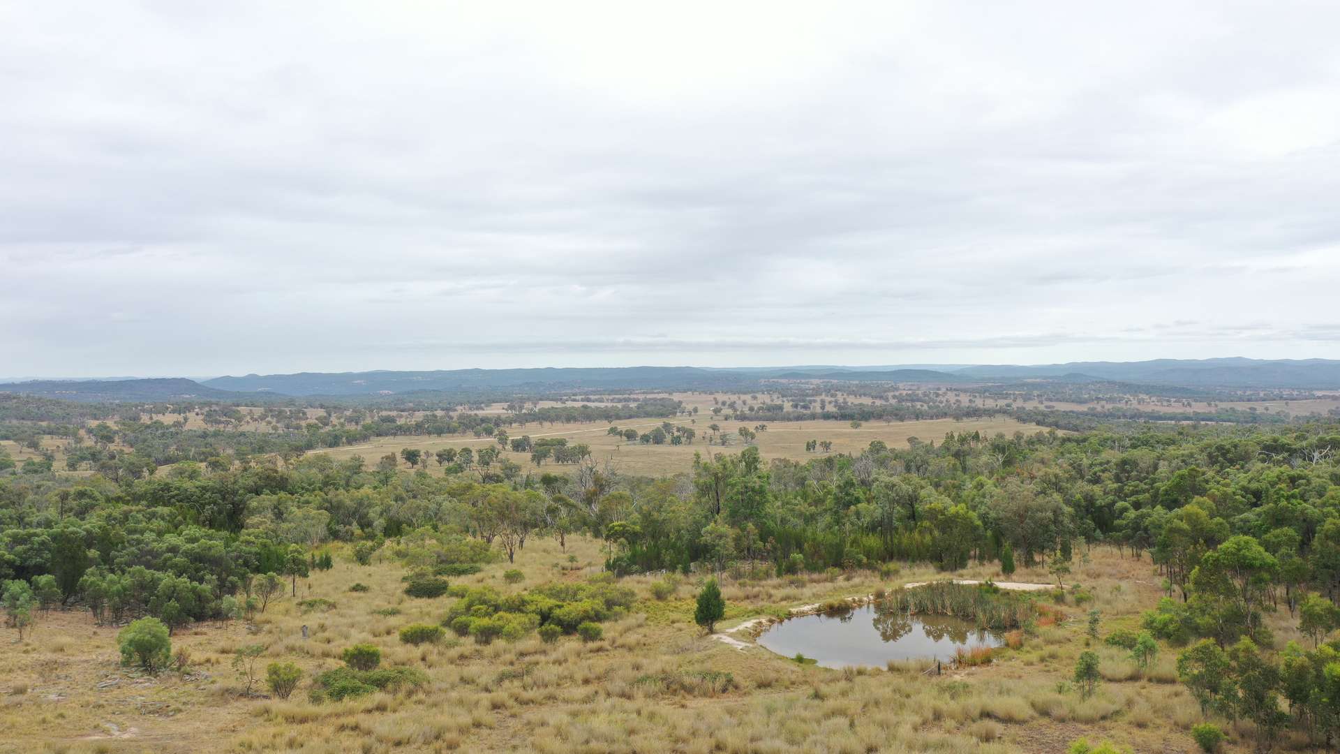 631 Glenelg Road, Bundarra For Sale by Farmbuy.com - image 7