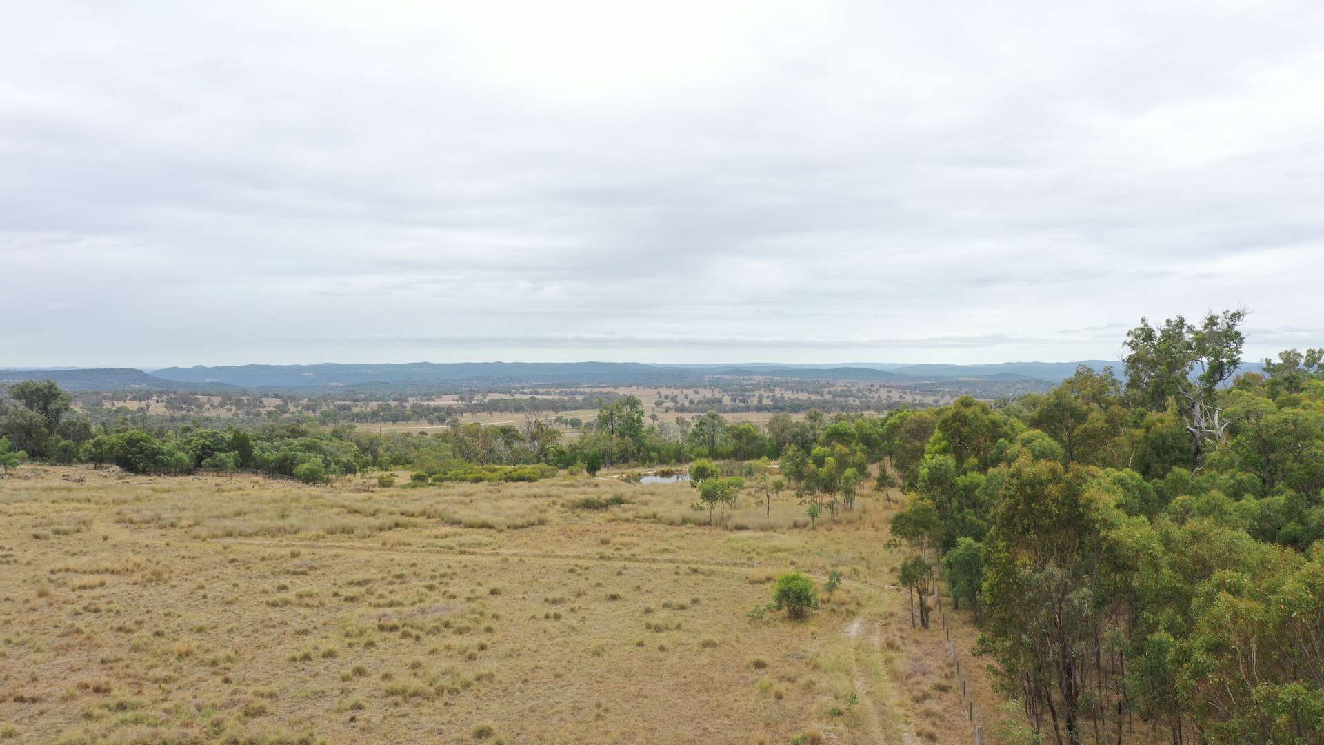 631 Glenelg Road, Bundarra For Sale by Farmbuy.com - image 14