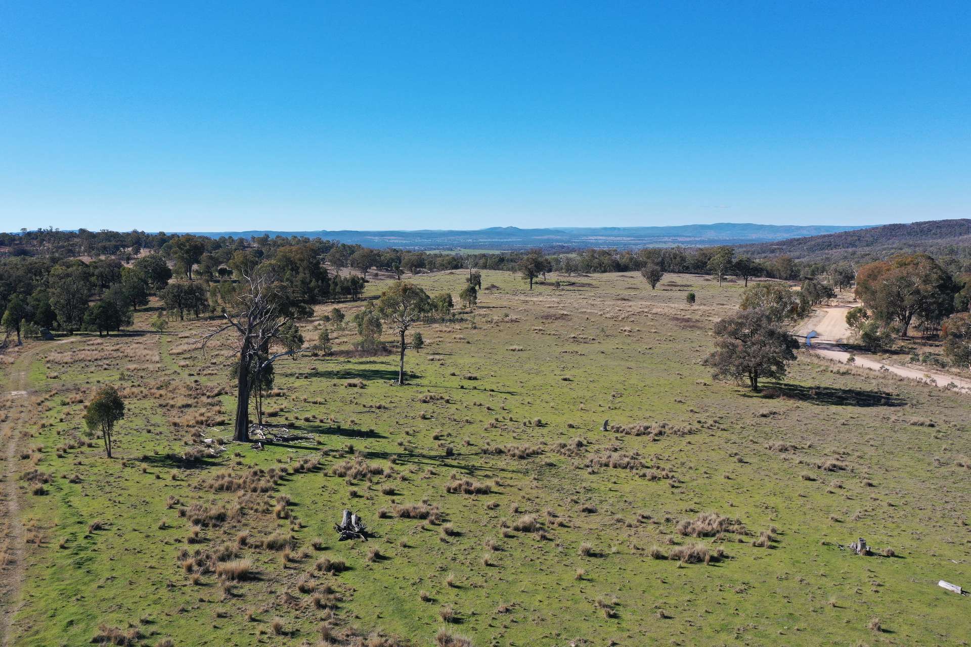 631 Glenelg Road, Bundarra For Sale by Farmbuy.com - image 3