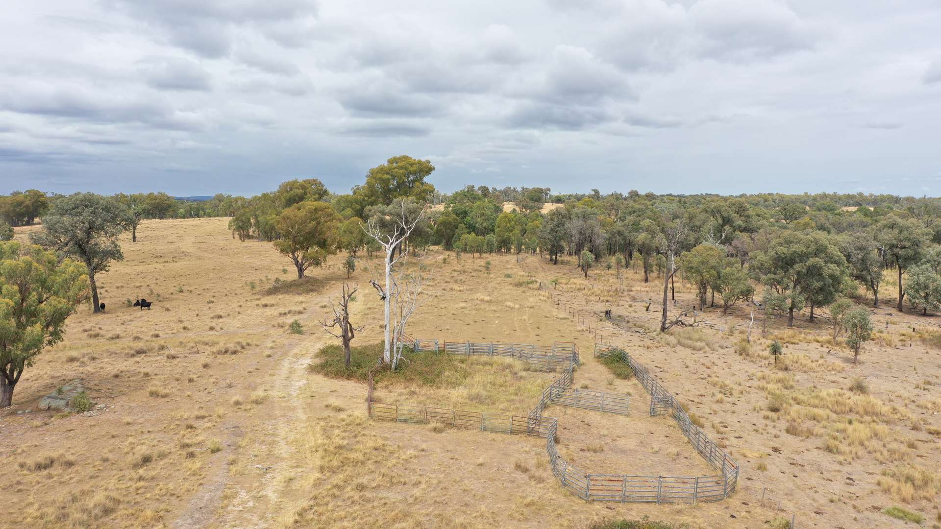 631 Glenelg Road, Bundarra For Sale by Farmbuy.com - image 11