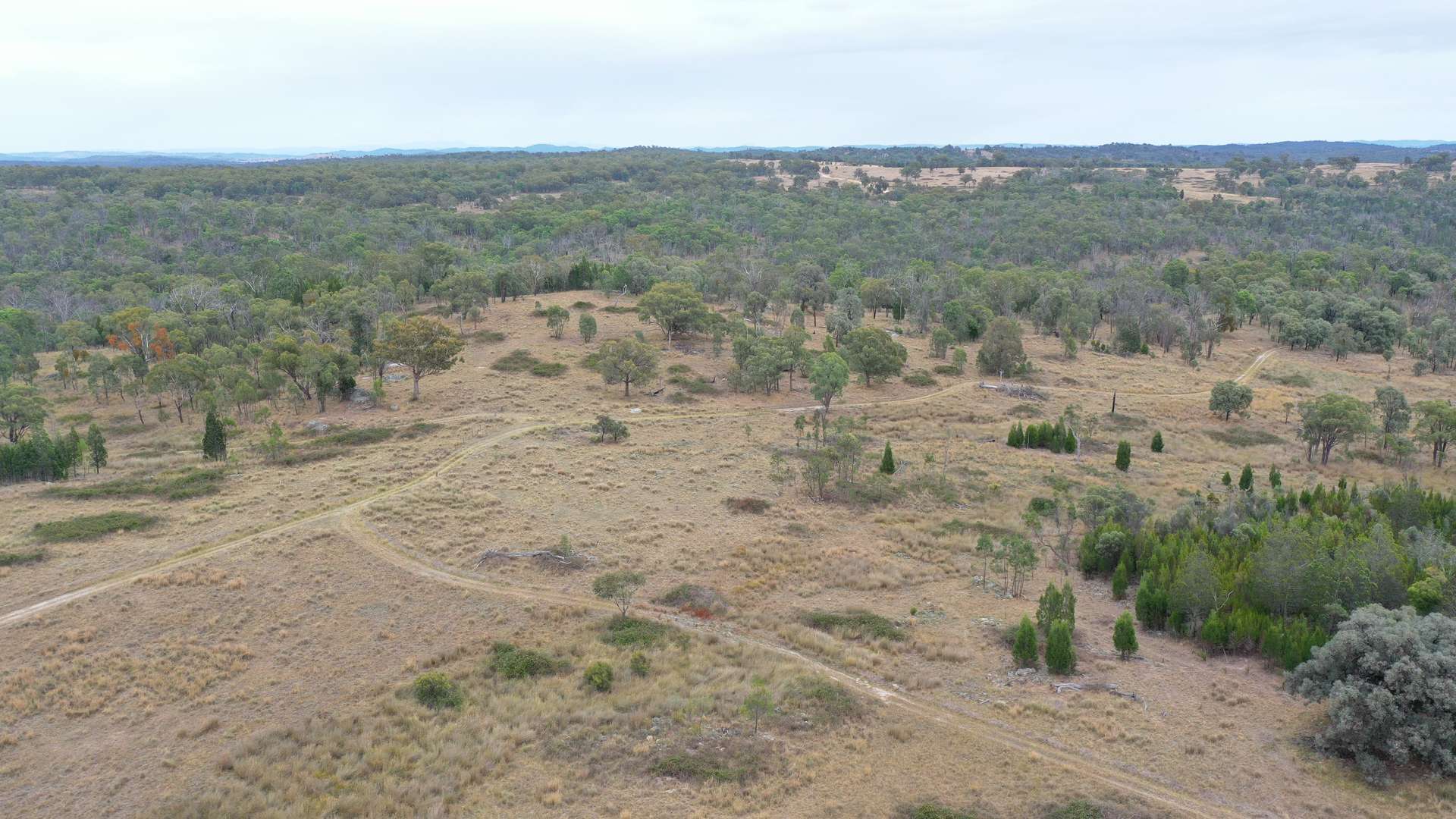 631 Glenelg Road, Bundarra For Sale by Farmbuy.com - image 6