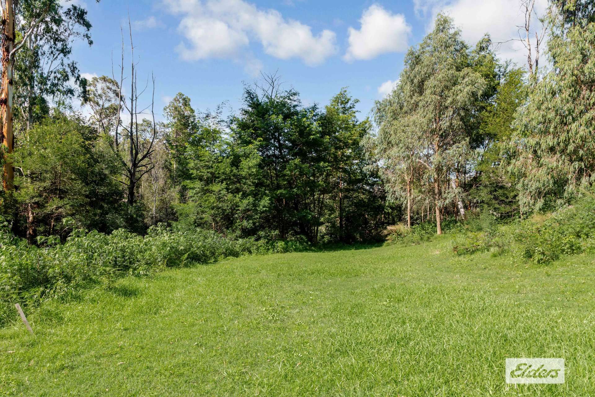 Lot 60 Egans Road, Runnyford For Sale by Farmbuy.com - image 4