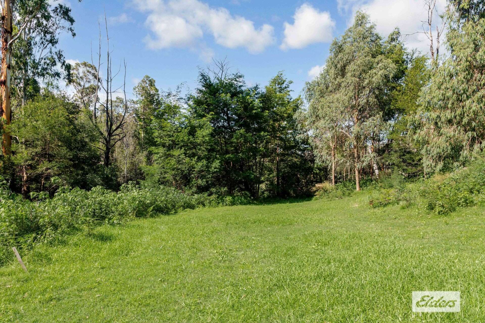 Lot 60 Egans Road, Runnyford For Sale by Farmbuy.com - image 4