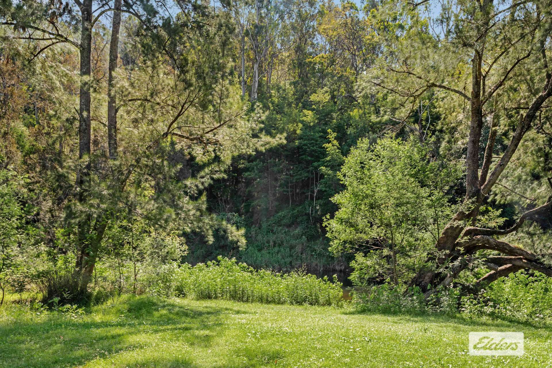 Lot 60 Egans Road, Runnyford For Sale by Farmbuy.com - image 3