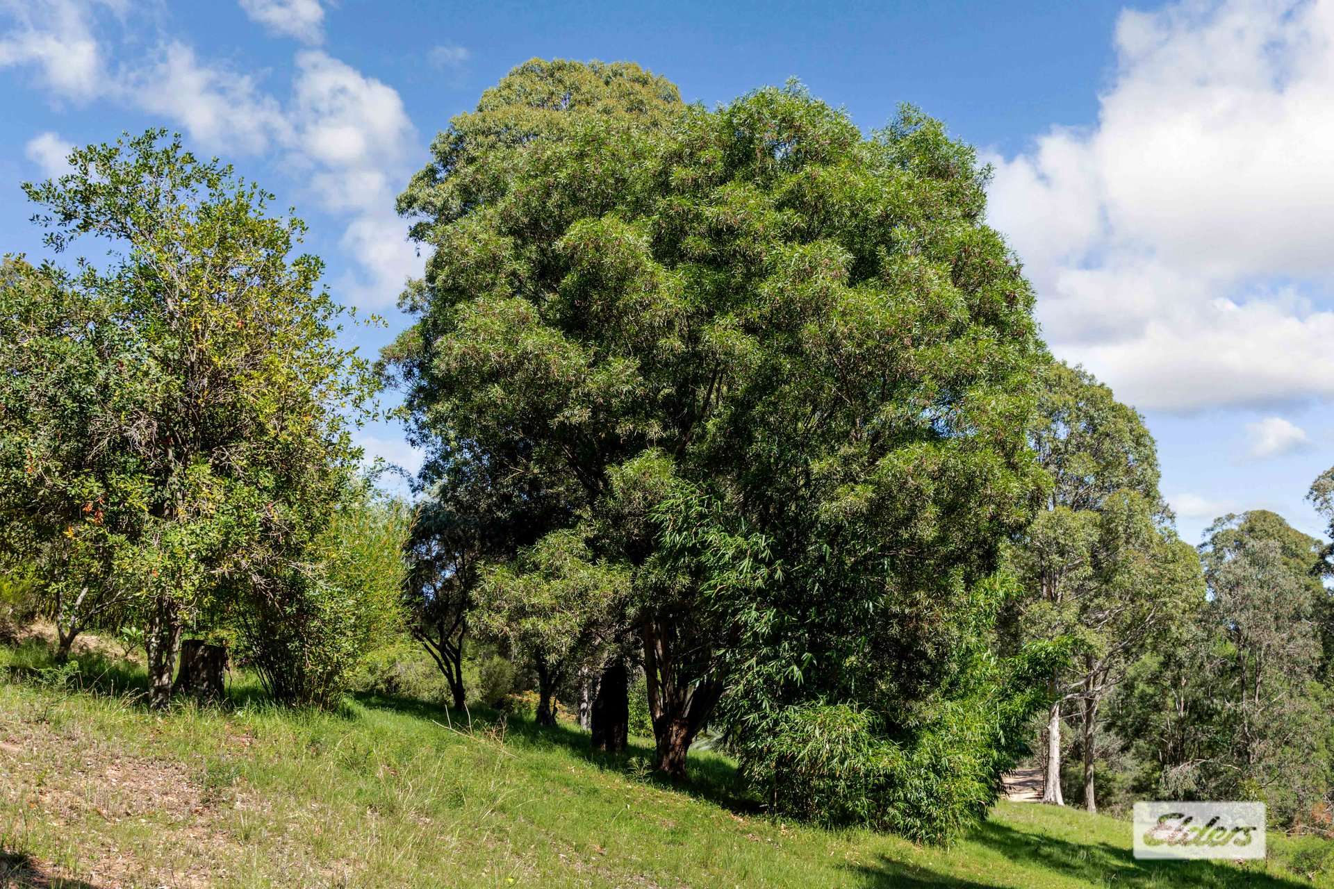Lot 60 Egans Road, Runnyford For Sale by Farmbuy.com - image 6