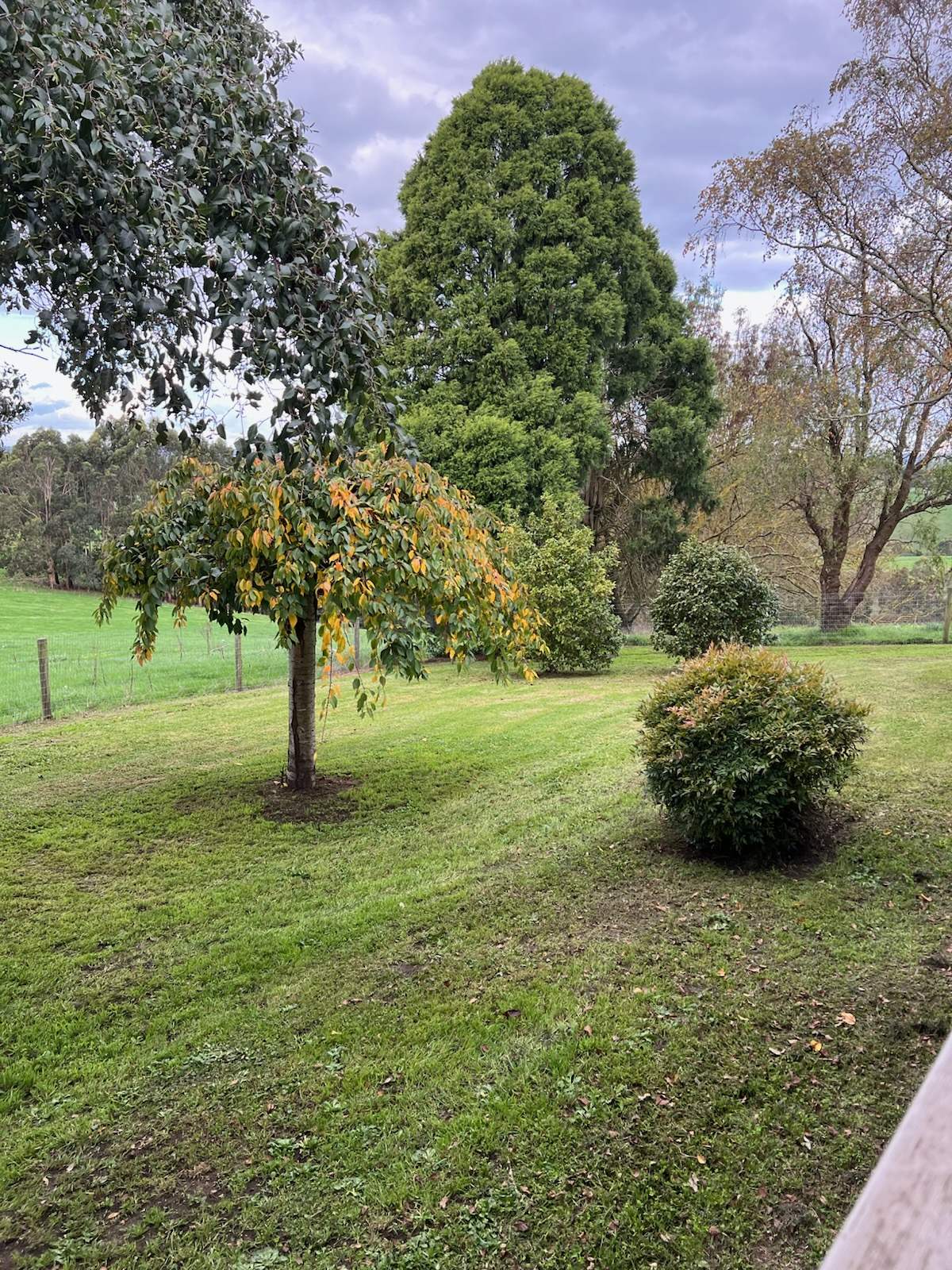 2045 Drouin-Korumburra Road, Poowong For Sale by Farmbuy.com - image 20