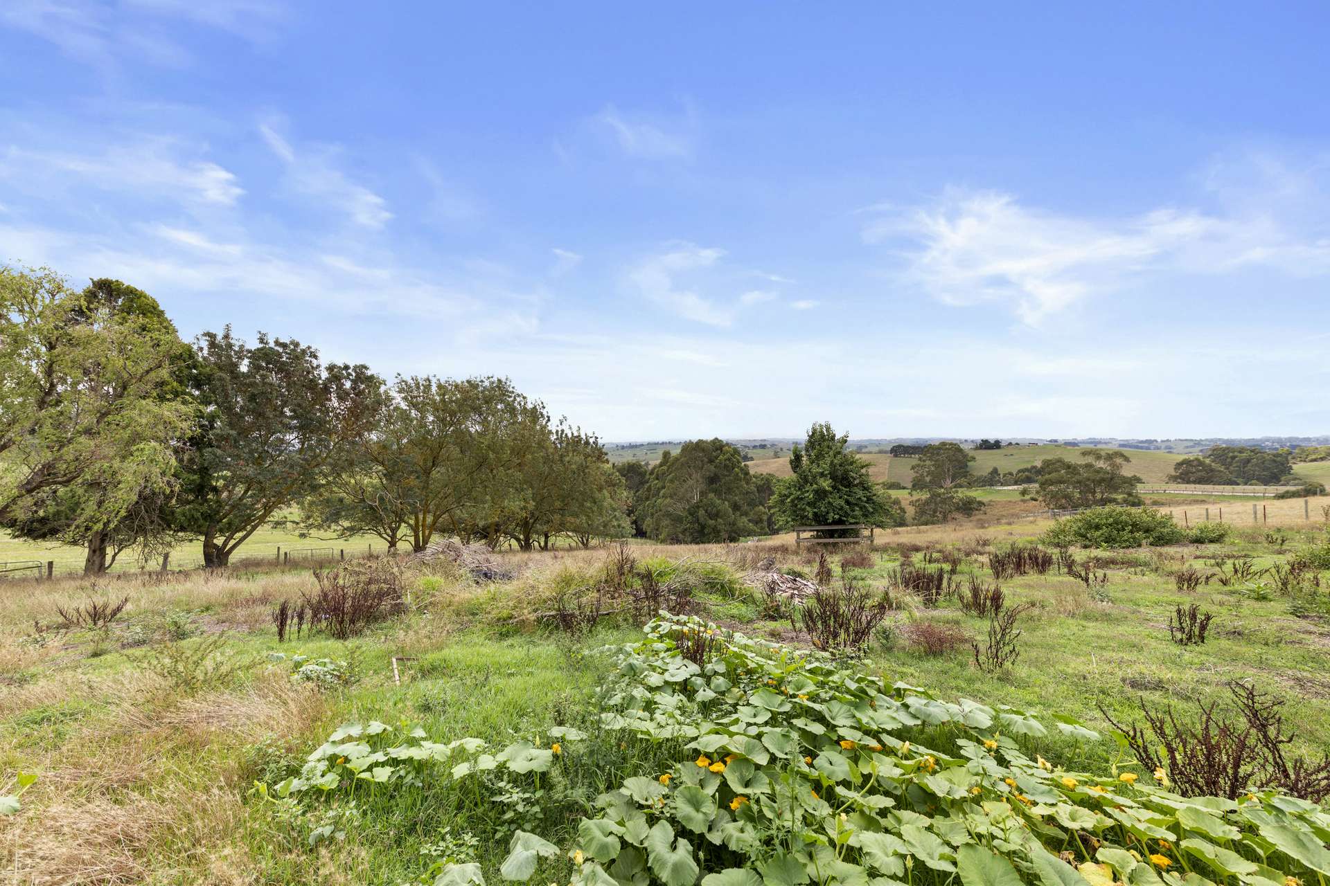 2045 Drouin-Korumburra Road, Poowong For Sale by Farmbuy.com - image 26