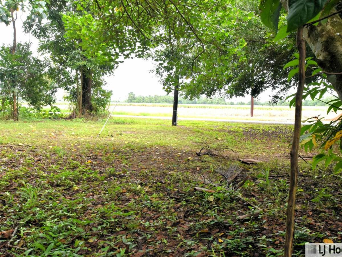 799 Davidson Road, Euramo For Sale by Farmbuy.com - image 11