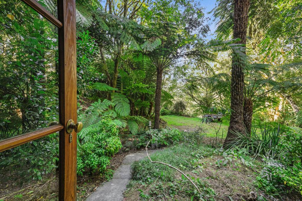 665 Barham River Road, Apollo Bay Sold by Farmbuy.com - image 19