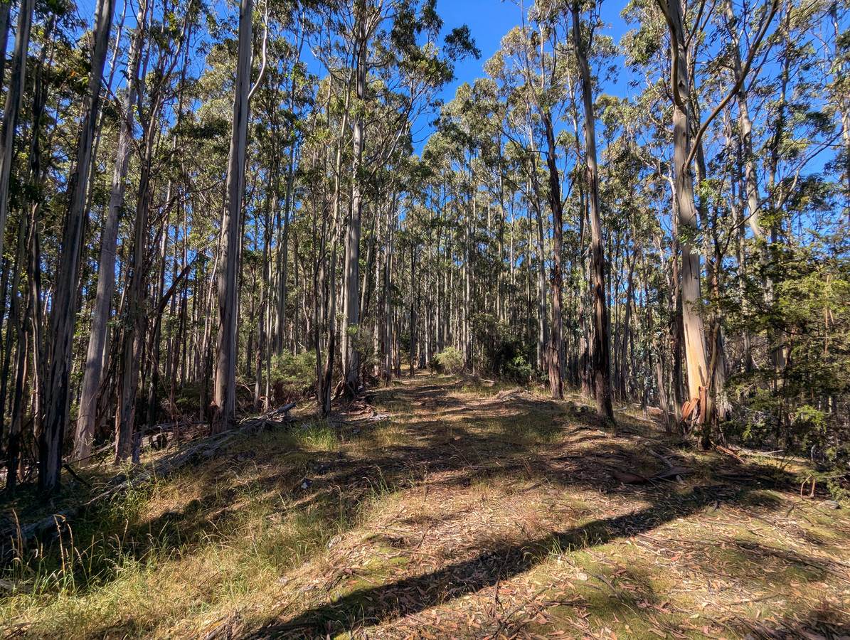 Lot 3,  Nicholls Rivulet Road, Nicholls Rivulet For Sale by Farmbuy.com - image 3