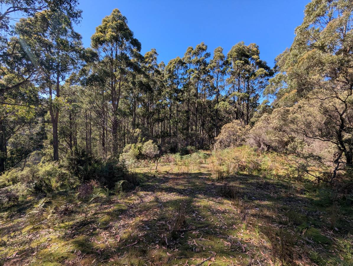 Lot 3,  Nicholls Rivulet Road, Nicholls Rivulet For Sale by Farmbuy.com - image 4