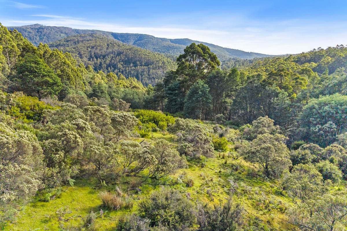 Lot 3,  Nicholls Rivulet Road, Nicholls Rivulet For Sale by Farmbuy.com - image 2