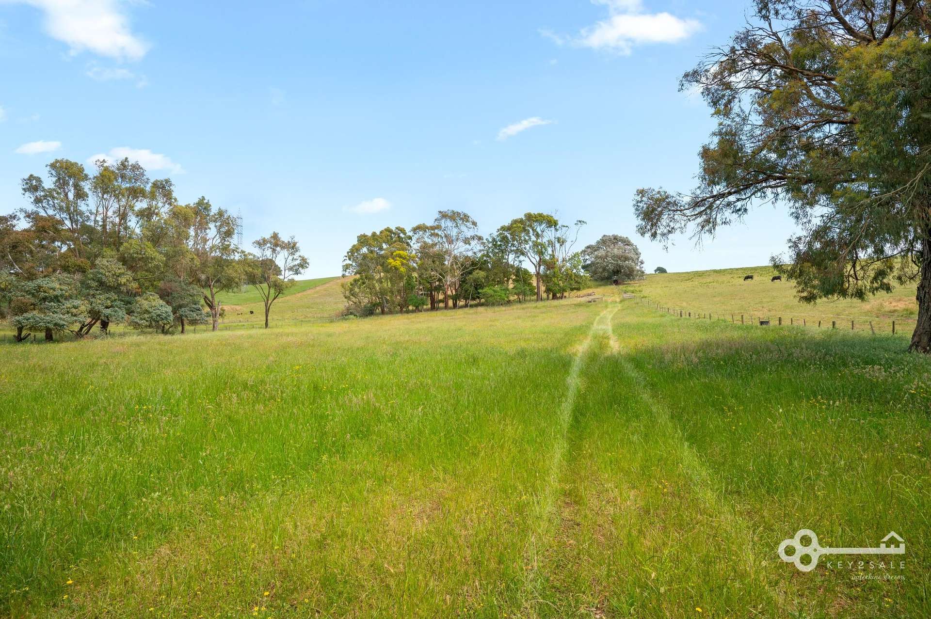 176 Mount Percy Road, Compton Sold by Farmbuy.com - image 20