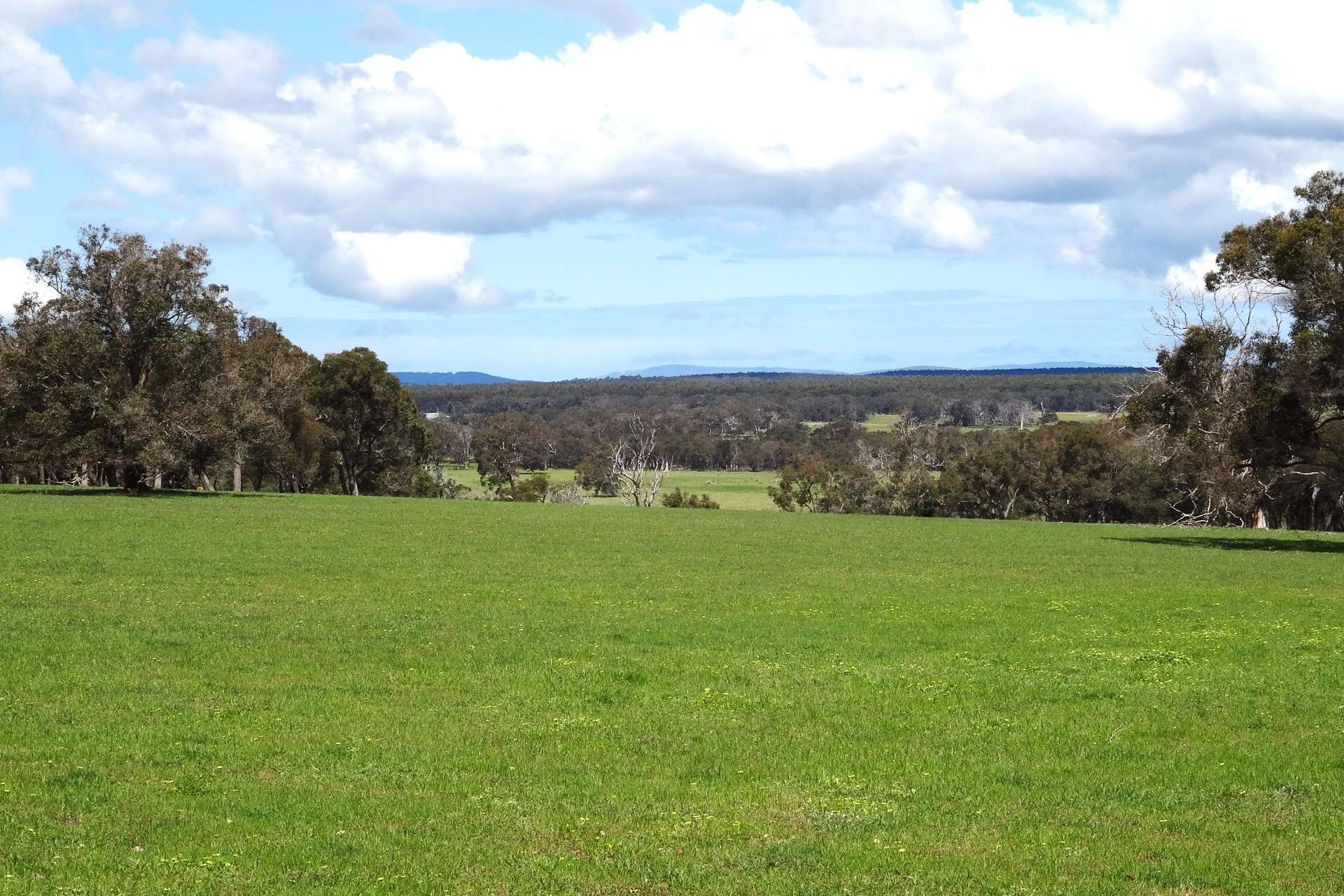 2935 Chester Pass Road, Napier For Sale by Farmbuy.com - image 23